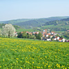 Frühling