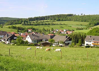 Weideflächen