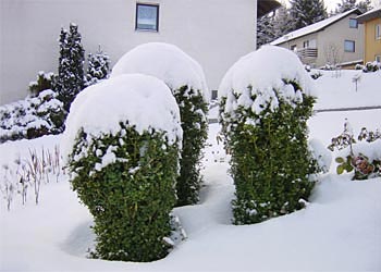 Eine schützende Haube