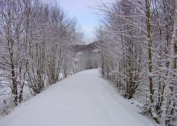 Der Radweg hat Pause
