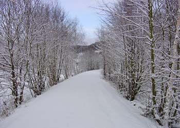 Der Radweg hat Pause