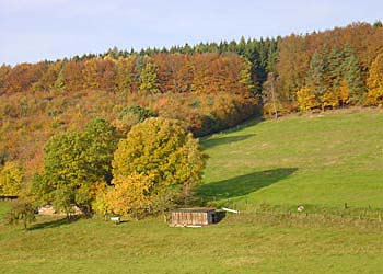 Herbstliche Impressionen