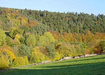 Der Herbst ist so schön