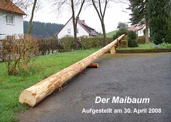 Der Maibaum